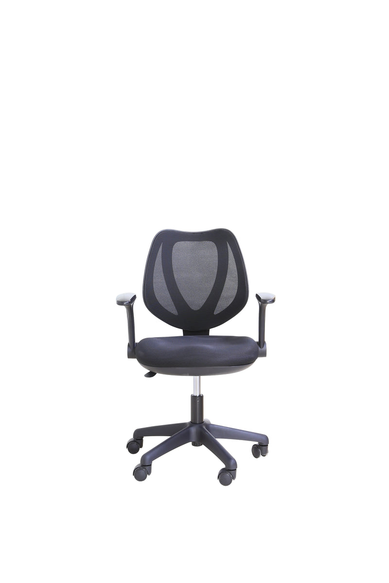 Executive Office Chair, Ergonomic Computer Chair Home and Office with ...
